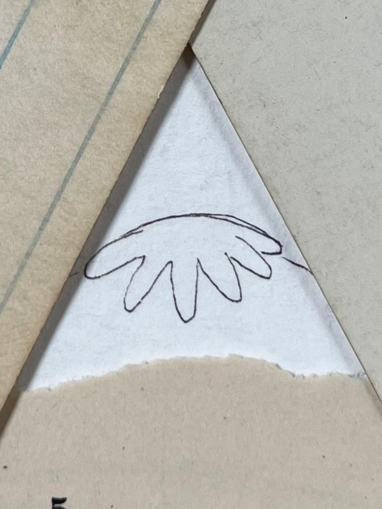 Ink drawing of a critter that slightly resembles a starfish