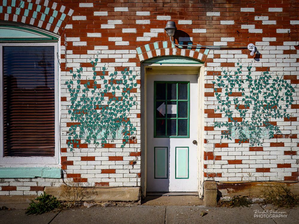 A red brick building has some of the bricks painted white, and on the white surfaces there are green vines painted.