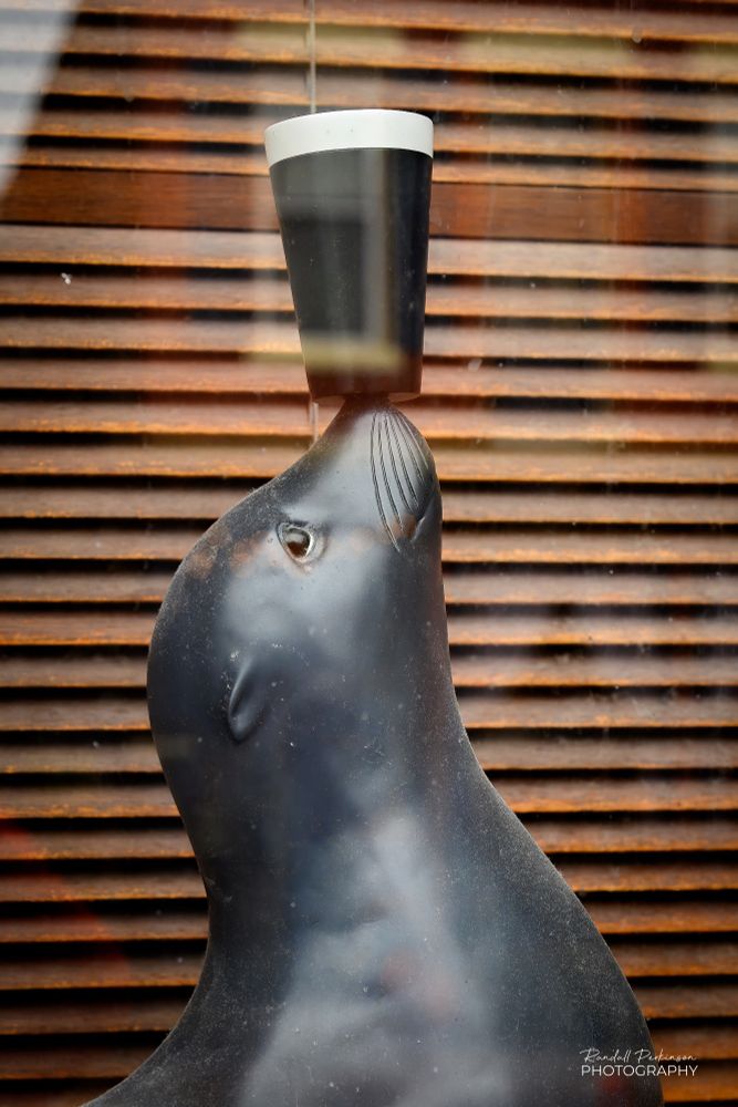 A figure of a seal balancing a glass of Guinness beer on it's nose in the window of Llywellyn's Pub in Saint Charles, Missouri.