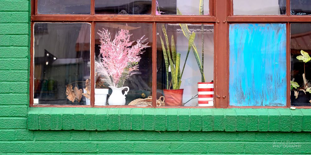 A view of the lower left corner of a large window in a brick building painted green.  Inside the window are several plants.  One small window pain is painted light blue.