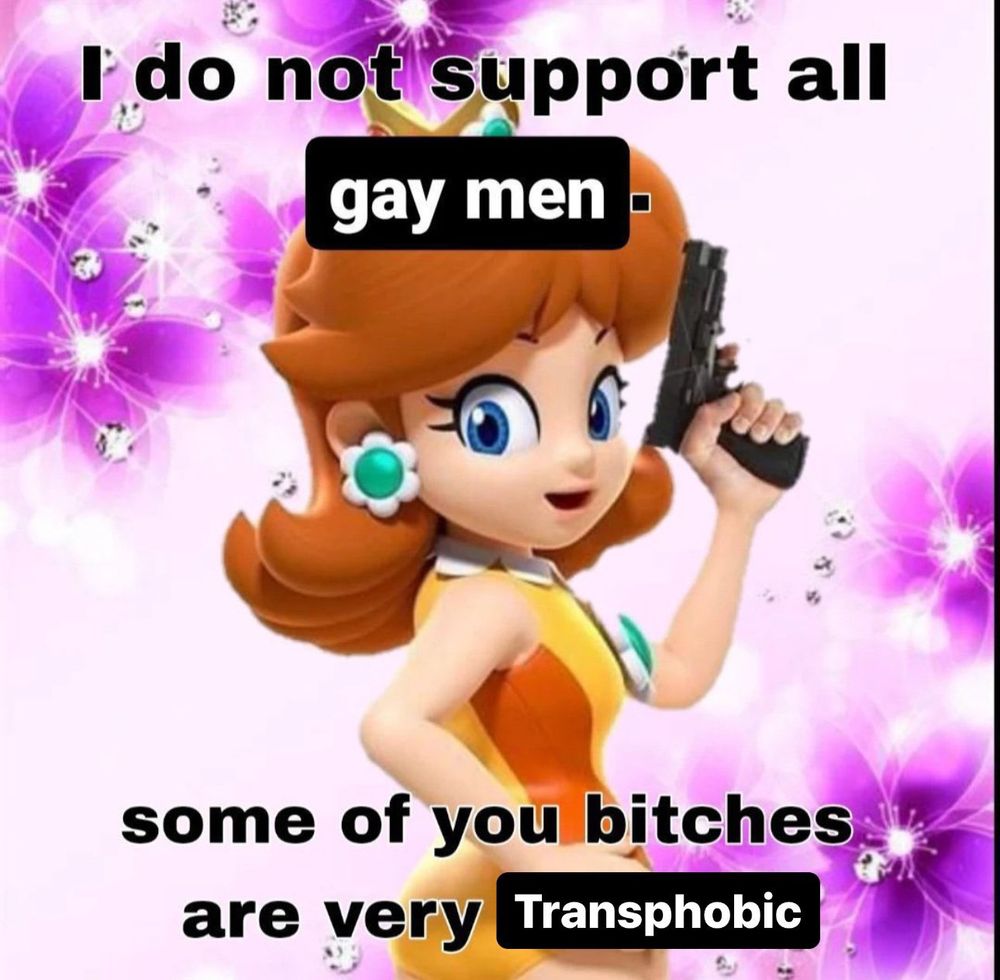 daisy from mario bros franchise holding a gun saying “i do not support all gay men, some of you bitches are very transphobic” 