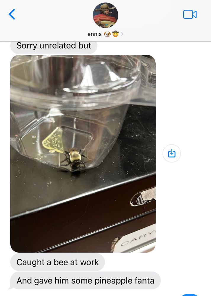 text with ennis 
“Sorry unrelated but
[photo of a bee in a plastic container with a puddle of soda]
Caught a bee at work
And gave him some pineapple fanta”