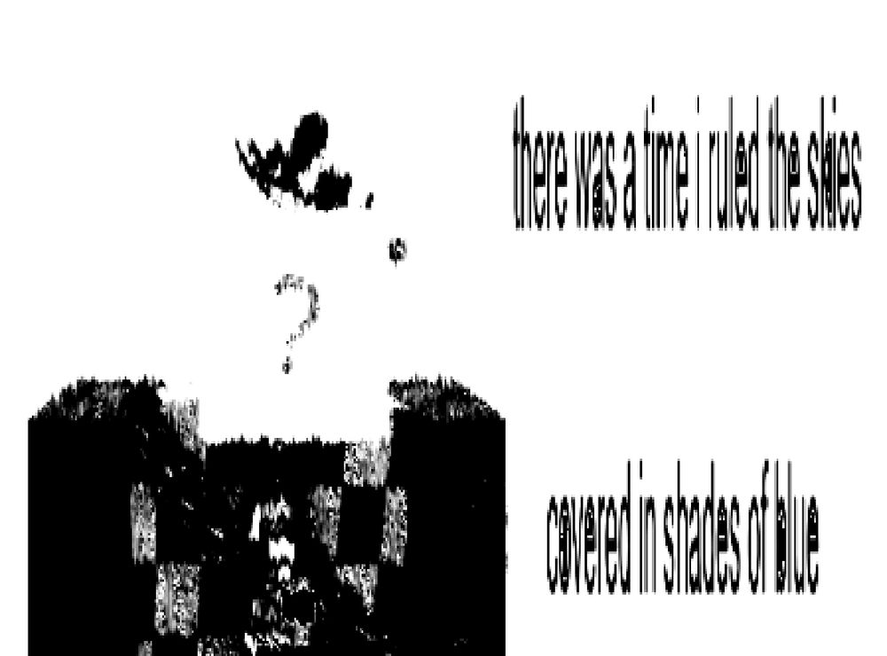 an image of noli staring at the camera