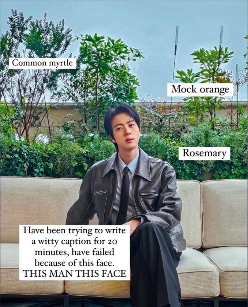 Jin on a sofa in front of plants that are labeled common Myrtle, mock orange, and rosemary. Jin is also labeled “have been trying to write a witty caption for 20 minutes, have failed because of this fave. THIS MAN THIS FACE”