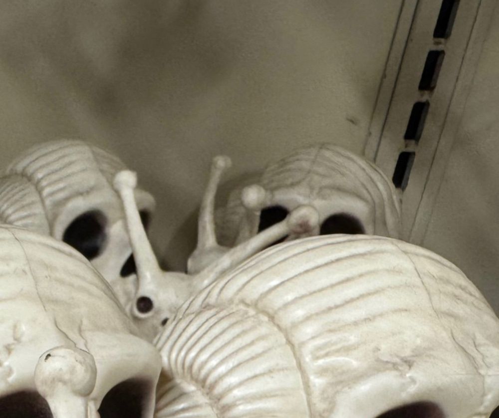 Confused looking skulls on a game board 