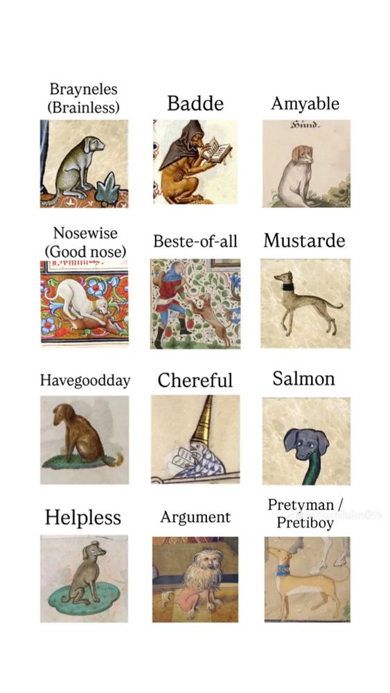 Medieval dog names! Brayneles (Brainless) Badde Amyable Nosewise (Good nose) Beste-of-all Mustarde Havegoodday Helpless Chereful Salmon Pretyman / Argument Pretiboy