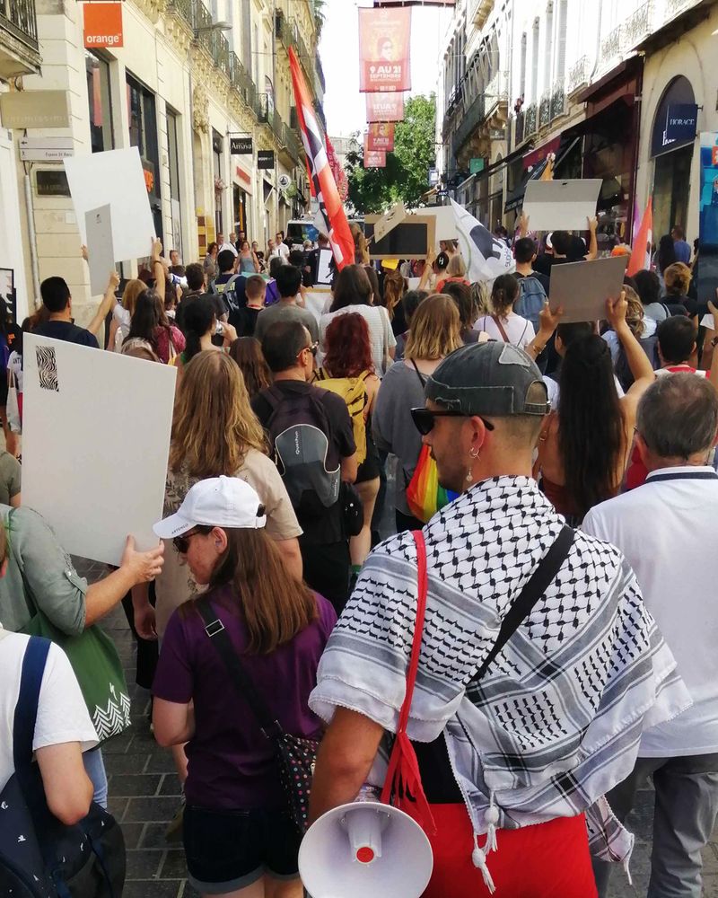 Photo du cortège marchant dans les rues de Montpellier. On voit les personnes de dos, des drapeaux de L214, du NPA, d'Alliance Éthique, des pancartes... Au premier plan, de dos, une personne porte un keffieh en soutien à la Palestine.