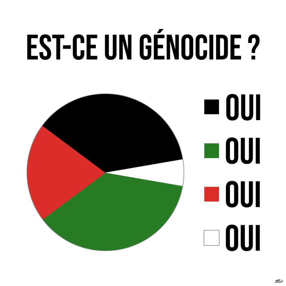 Visuel carré sur fond blanc intitulé "Est-ce un génocide ?" et montrant un diagramme à secteurs aux couleurs du drapeau palestinien, dont la légende montre que chaque couleur correspond à la réponse "OUI".