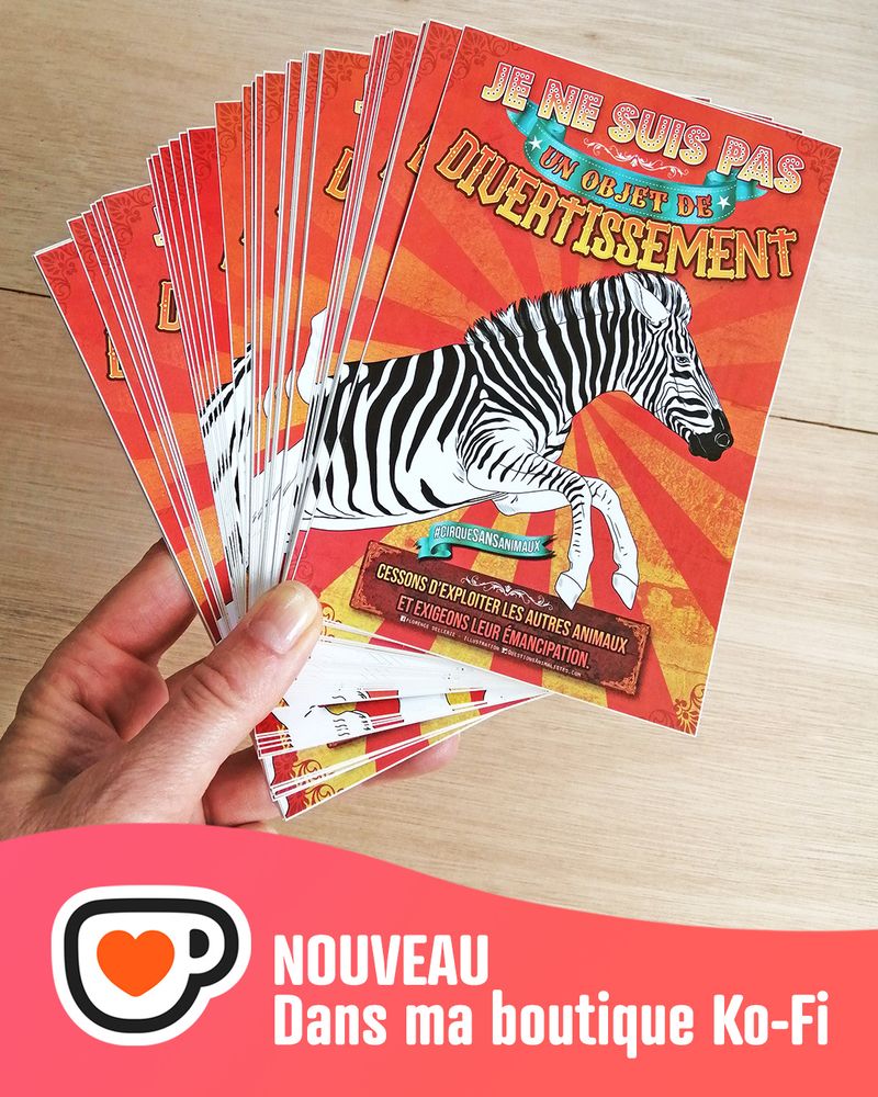 Photo montrant le lot de stickers dans ma main, avec un bandeau de couleur rose disant "Nouveau dans ma boutique Ko-Fi" avec le logo de Ko-Fi.