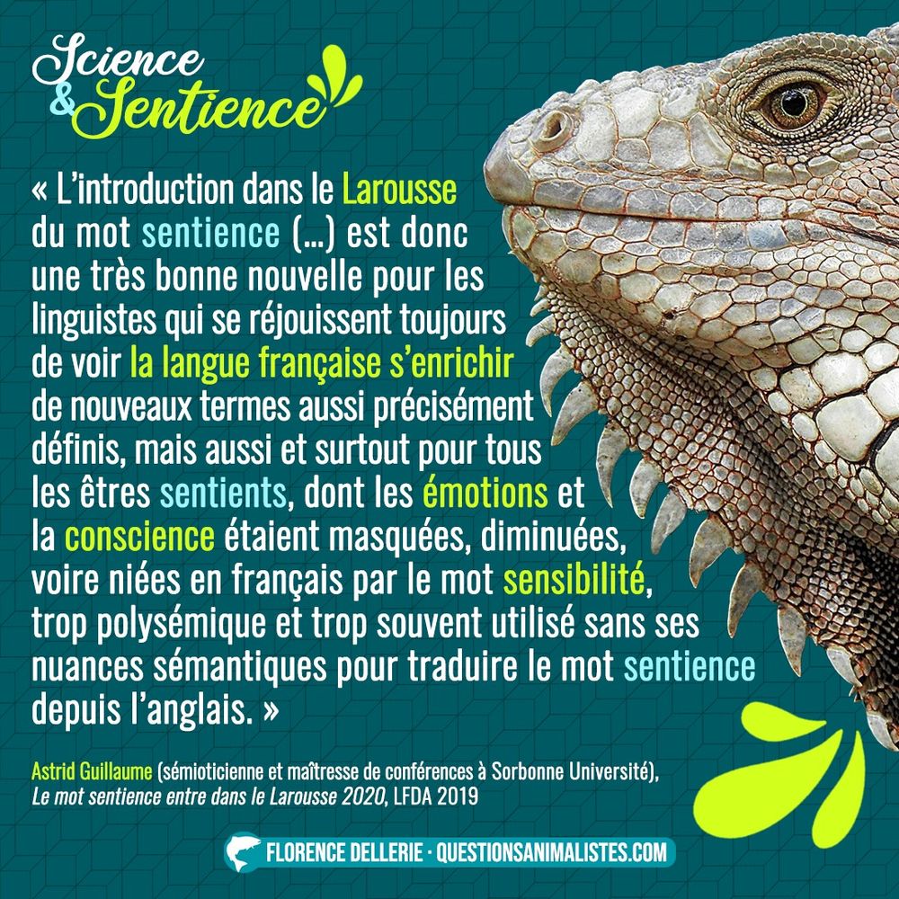 « L’introduction dans le Larousse du mot sentience […] est donc une très bonne nouvelle pour les linguistes qui se réjouissent toujours de voir la langue française s’enrichir de nouveaux termes aussi précisément définis, mais aussi et surtout pour tous les êtres sentients, dont les émotions et la conscience étaient masquées, diminuées, voire niées en français par le mot sensibilité, trop polysémique et trop souvent utilisé sans ses nuances sémantiques pour traduire le mot sentience depuis l’anglais. » 
► Astrid Guillaume, Sémioticienne, Maîtresse de conférences à Sorbonne Université, Le mot sentience entre dans le Larousse 2020, LFDA, 2019
