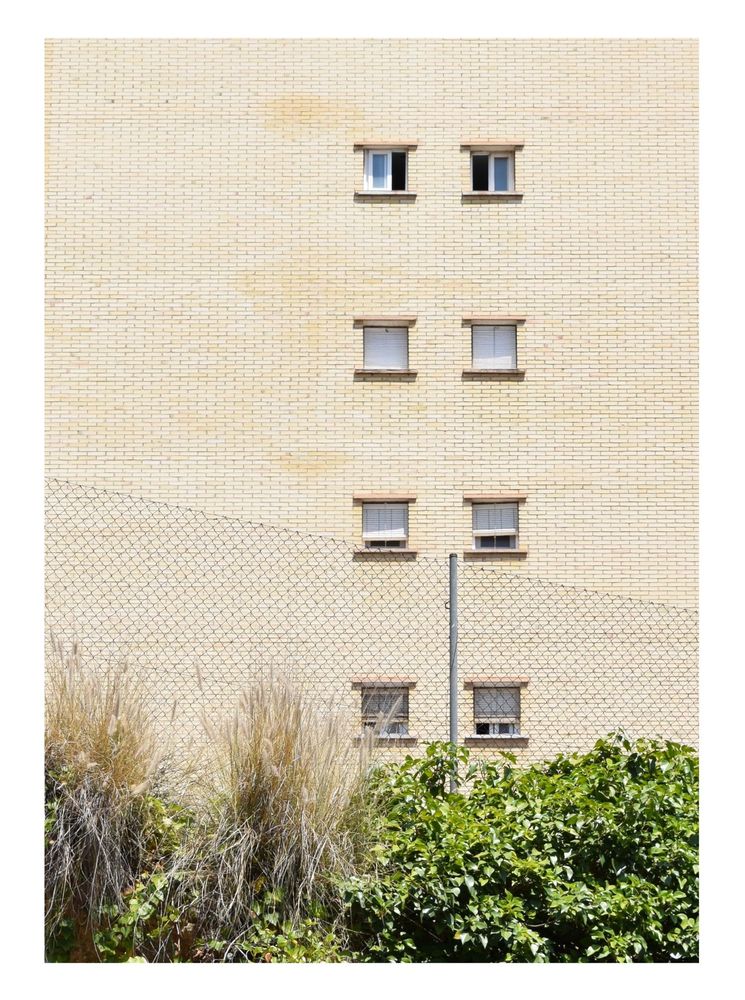 Colour photograph. Shrubbery in the foreground, behind is a brick wall with two columns of small windows positioned to the right of the frame.