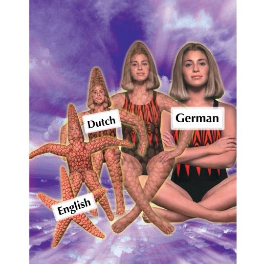 Comment image