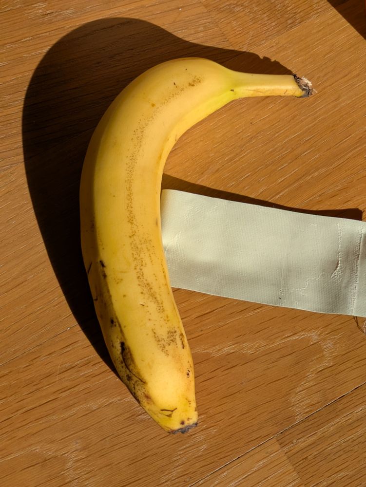 The same banana, now without tape.