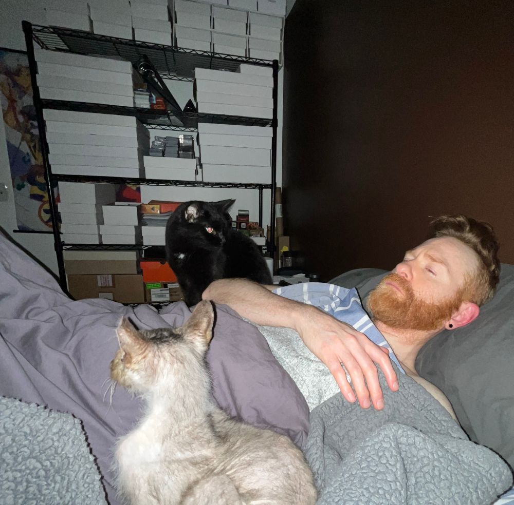 Tucked in my cozy bed, with both my cats, on either side of me. I look unhappy because I’m still tired, but Max wants attention. Stripes is ready also ready to sleep a bit longer. 