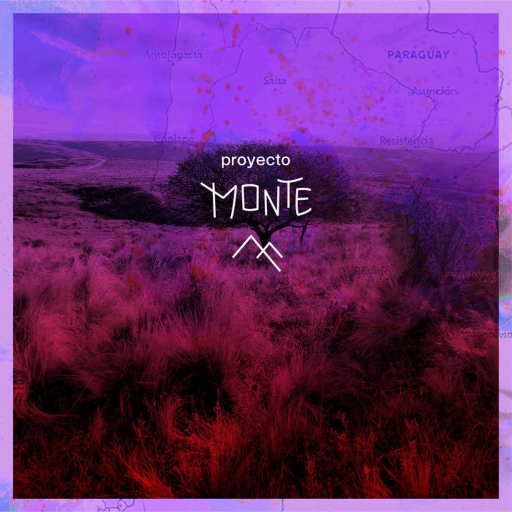 Proyecto Monte #1, by Proyecto Monte