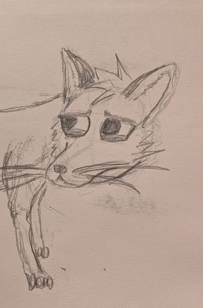 A sketch of a concerned looking fox on the back of an envelope.