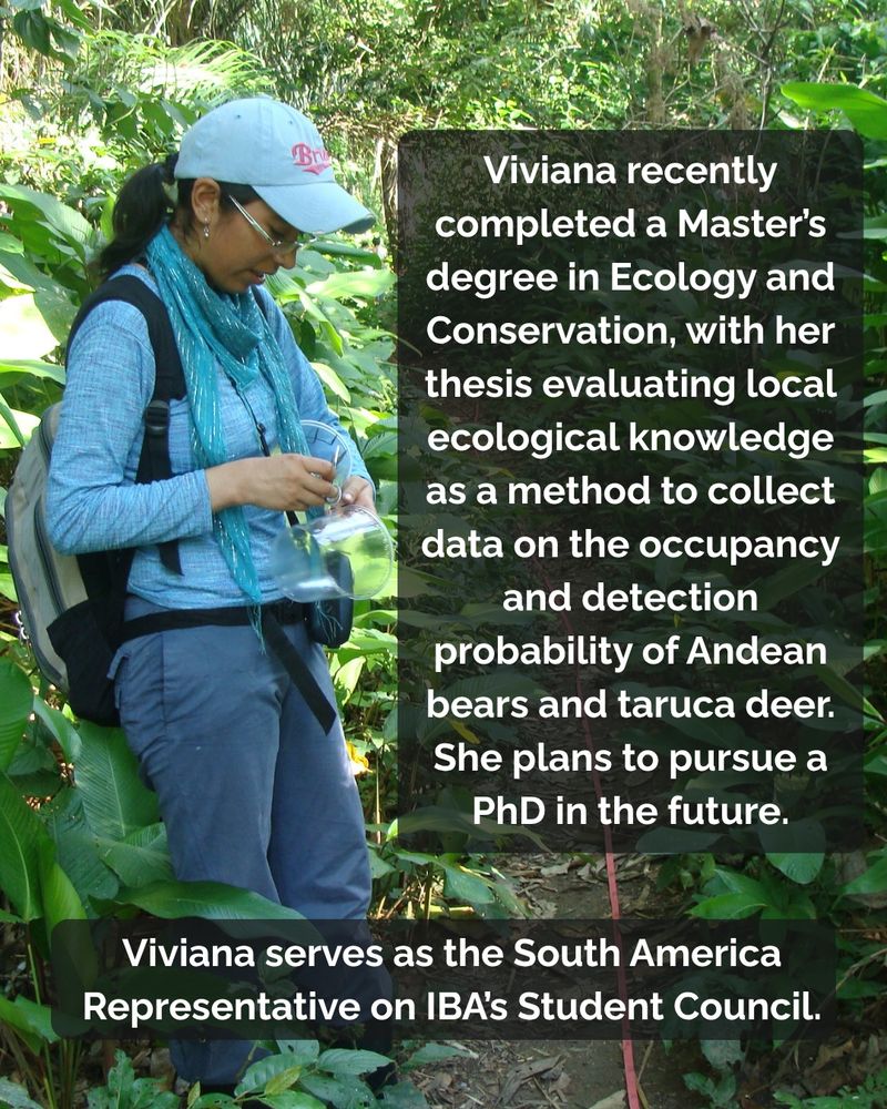 Viviana conducts field work in the forest. Text on screen introduces her educational background.
