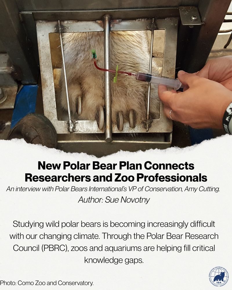 Polar bear provides paw for blood draw in zoo setting; on-screen text gives a short article summary.