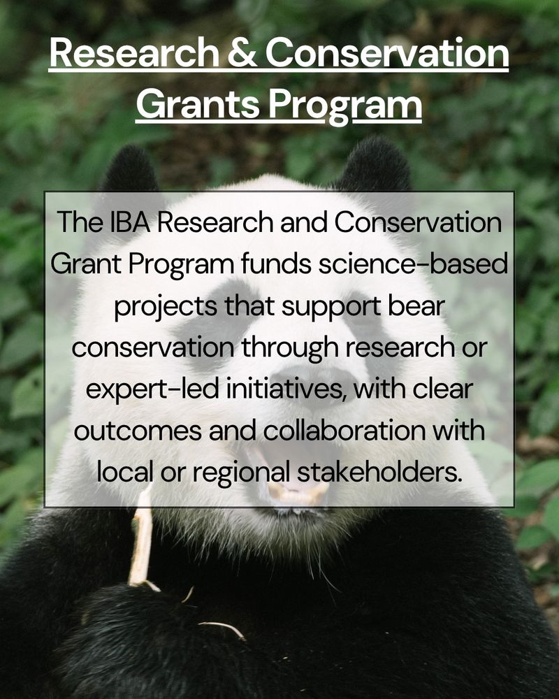 Same giant panda photo with overlay text providing information about the Research & Conservation Grant Program.