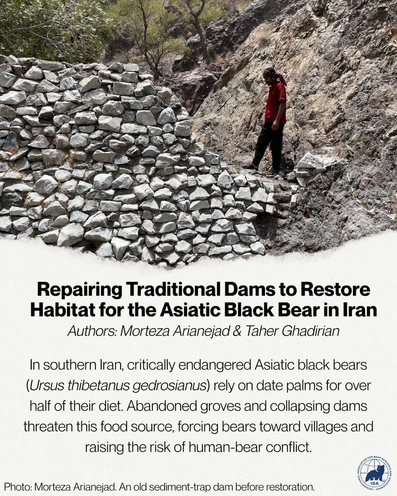 Person looks at a stone sediment-trap dam; on-screen text gives a short article summary.