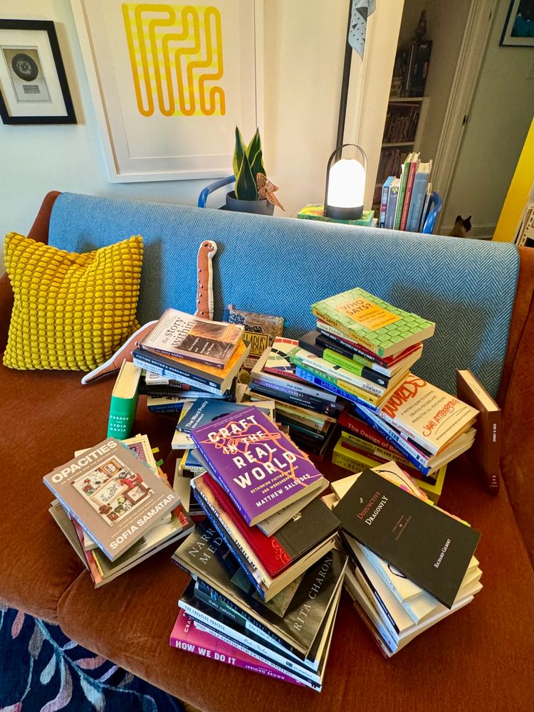 a heap of about 100 books on a reddish couch with a blue blanket (from Ireland!) over the back. You can just see Kirby the cat’s head in the corner.