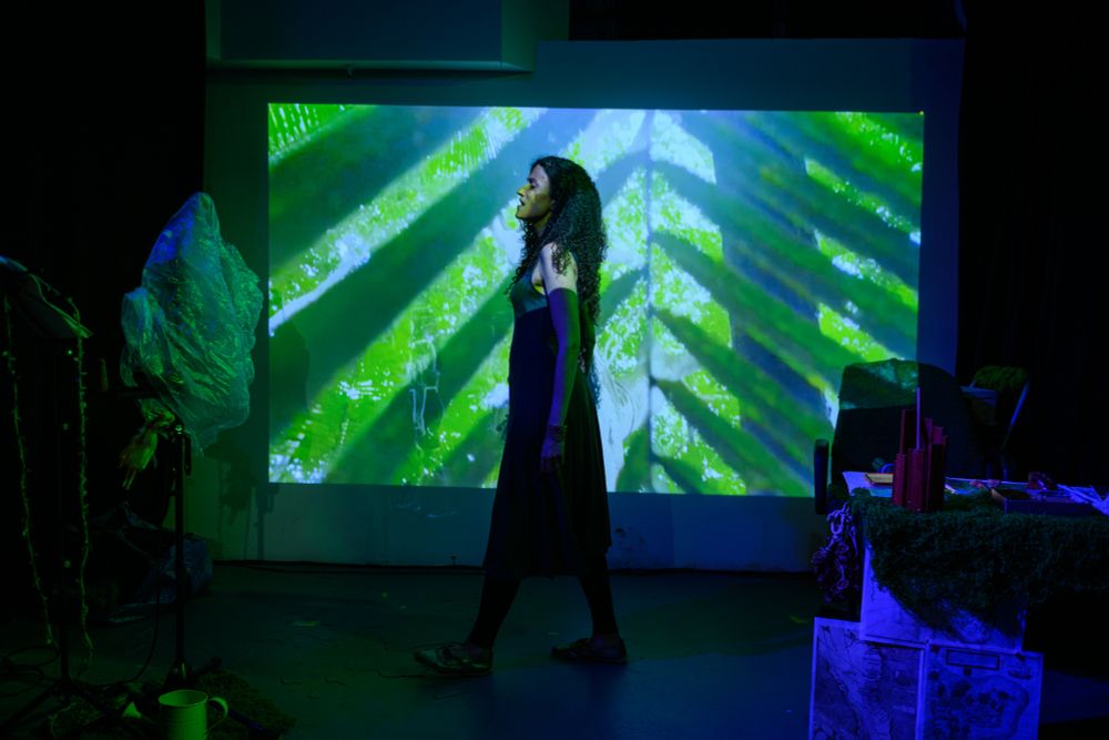 A Brazilian woman with long curly hair, wearing a long green dress, walks across a small stage. Behind her is a projection of a palm frond, and faintly visible in the projection is the white outline of another woman.