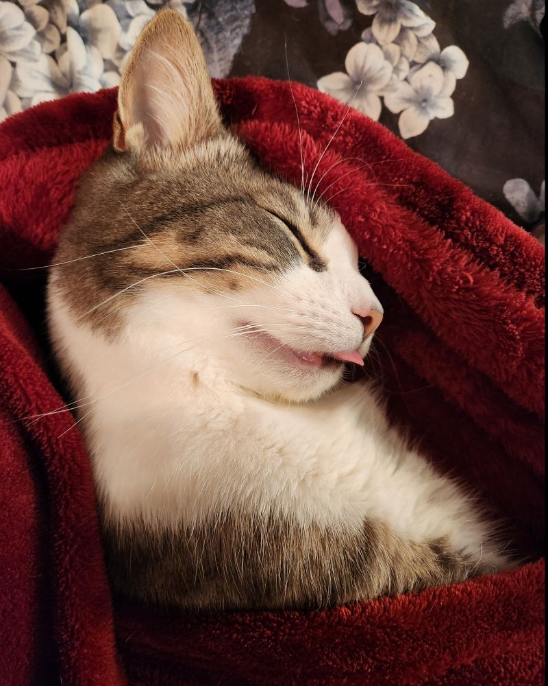 Blep