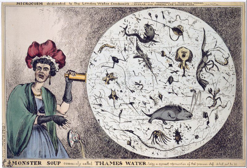 A woman i a big red bonnet shows with distaste a microscope slide revealing various hideous creatures floating within it. The water is described as 'Monster Soup'.