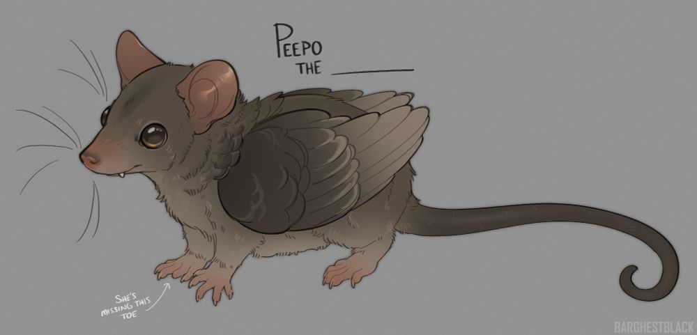 Drawing of a brown short-tailed opossum with brown-tan pigeon wings