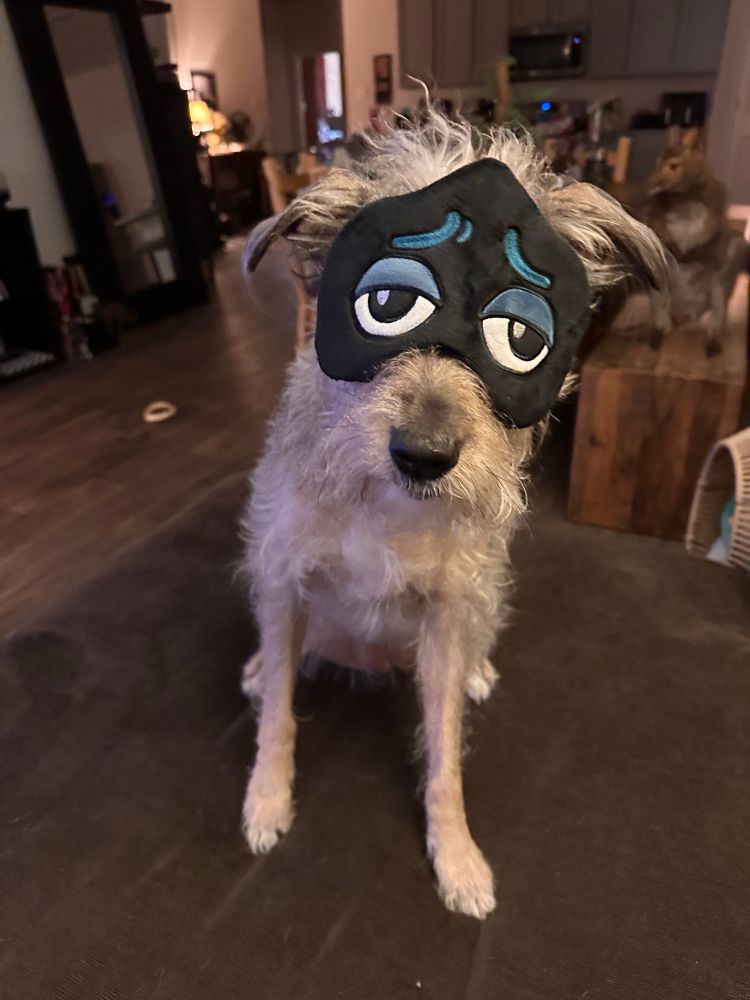 Scruffy dog wearing a Lancer from Deltarune sleep mask