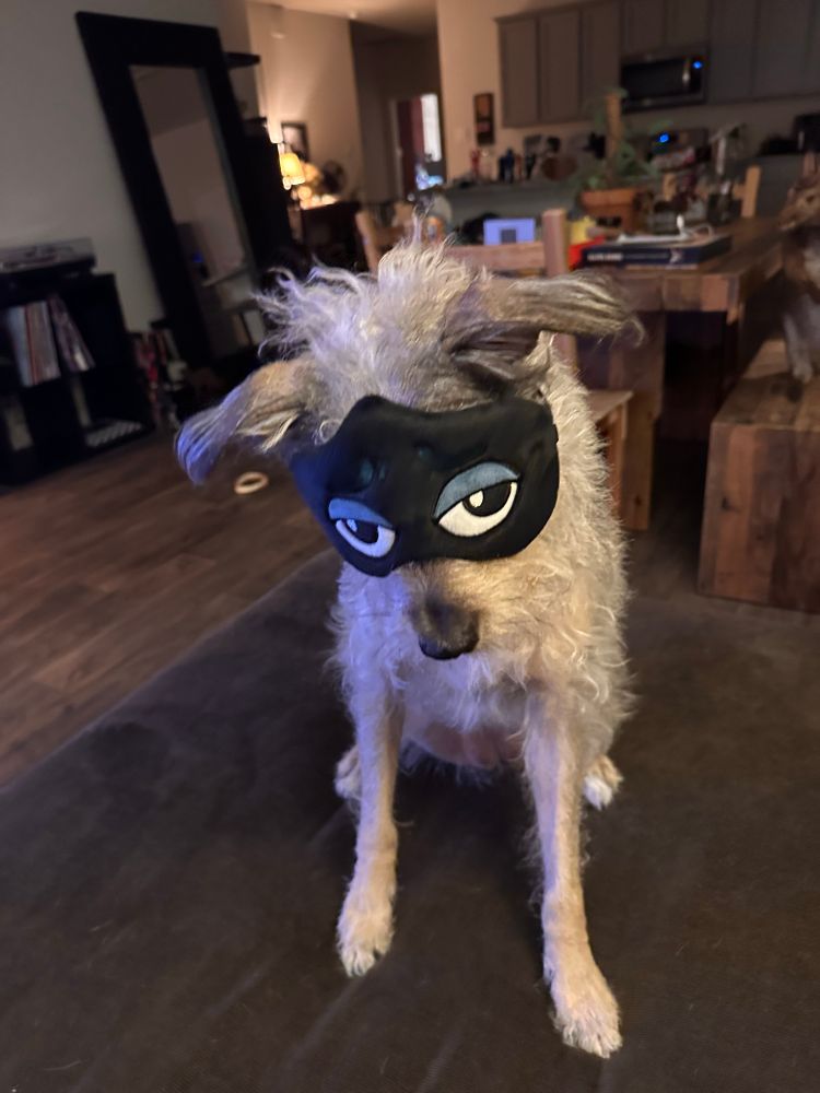 Scruffy dog wearing a Lancer from Deltarune sleep mask