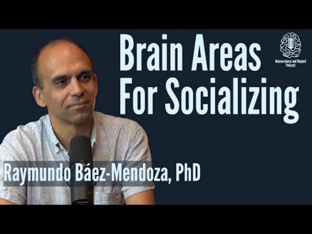Which Brain Regions Drive Social Behavior?