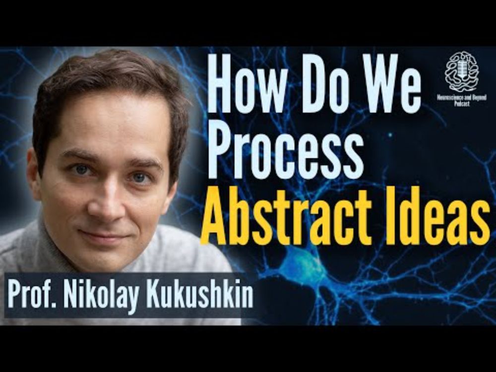 The Neuroscience of Abstraction