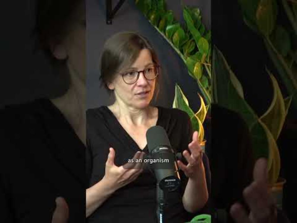 Rethinking Mental Health