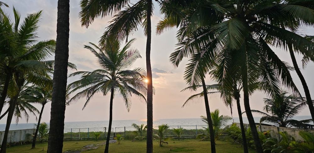View of the Arabian sea from the backyard, with a few palm trees surrounding a small stone walkway.
