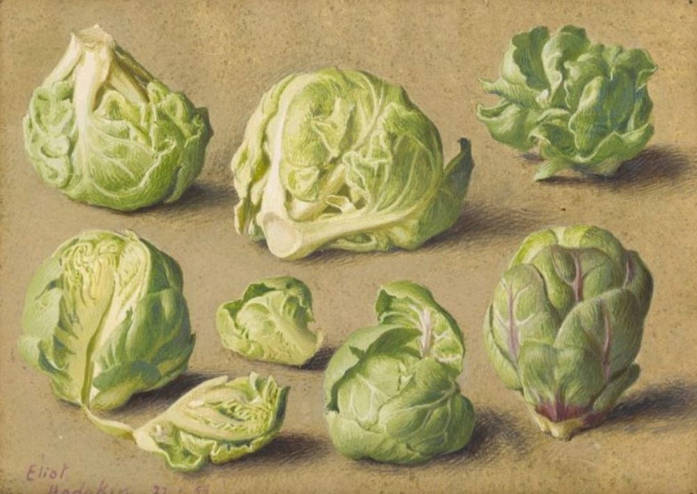 'Seven Brussels Sprouts.' (1955)
Delicately painted with meticulous detail, Eliot Hodgkin captures the crisp waxy green beauty of a vegetable that in the year this work was painted was too often boiled to oblivion.