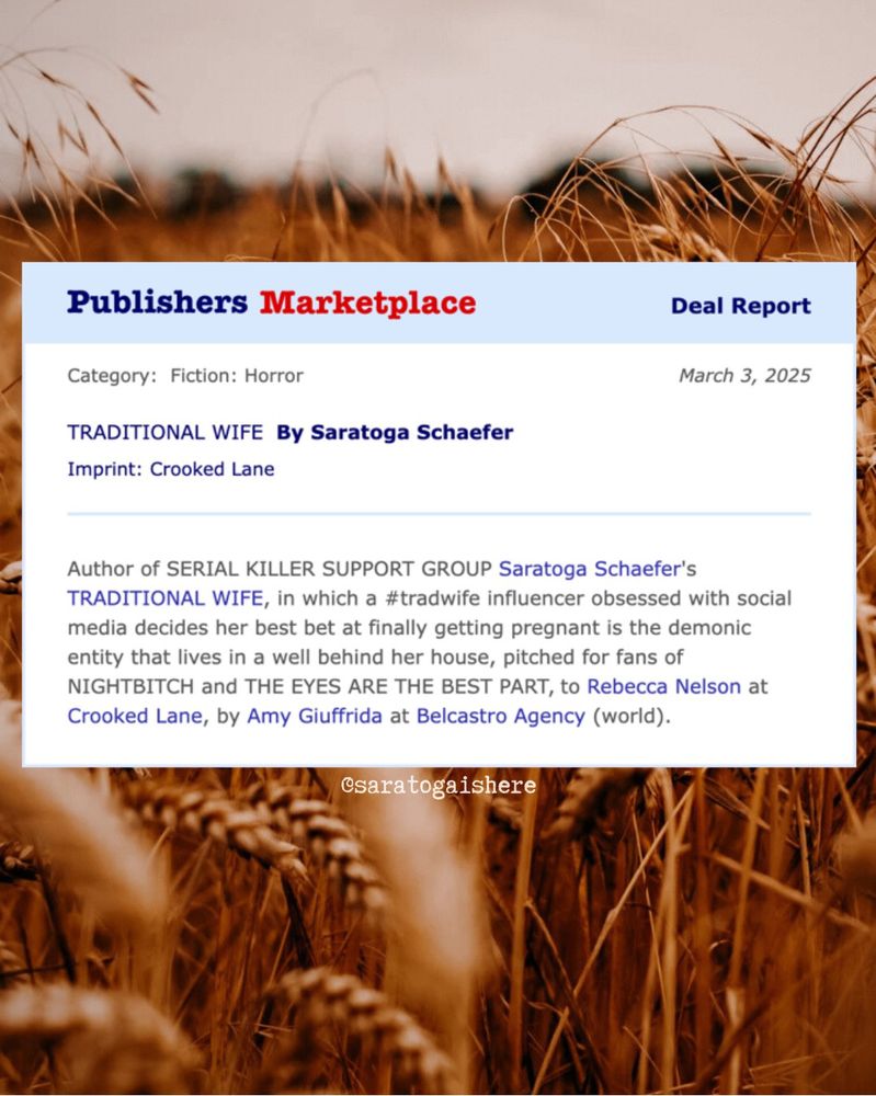 Author of SERIAL KILLER SUPPORT GROUP Saratoga Schaefer's TRADITIONAL WIFE, in which a #tradwife influencer obsessed with social media decides her best bet at finally getting pregnant is the demonic
entity that lives in a well behind her house, pitched for fans of NIGHTBITCH and THE EYES ARE THE BEST PART, to Rebecca Nelson at Crooked Lane, by Amy Giuffrida at Belcastro Agency (world).
