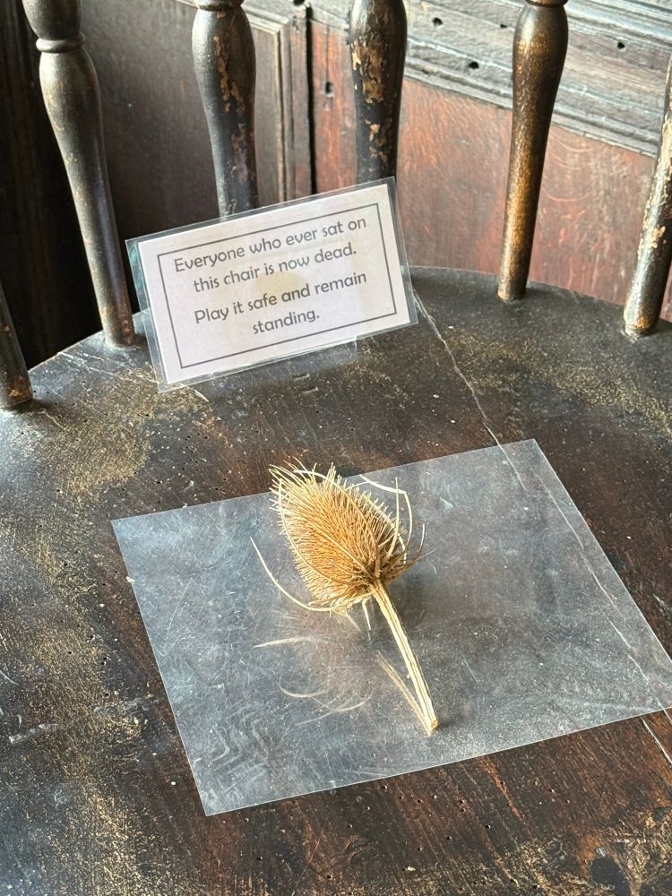 A wooden Windsor style chair with a dried thistle on top. A warning sign ‘Everyone who ever sat on this chair is now dead.
Play it safe and remain standing.’ 
