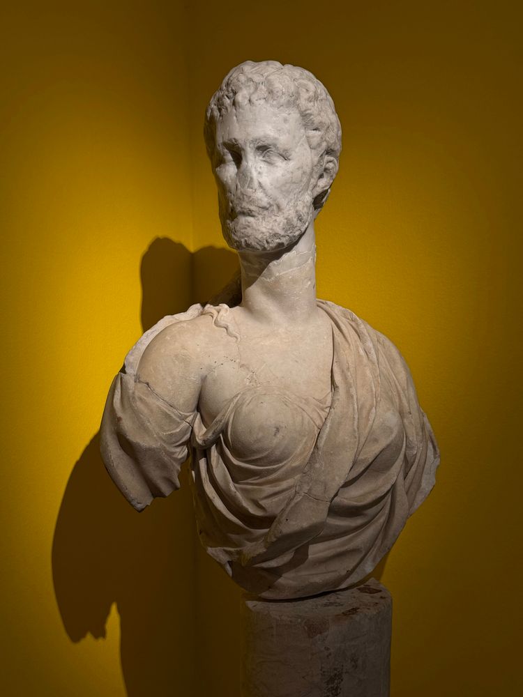 An ancient marble bust of a ‘male’ head, with no nose, which very loosely resembles the emperor Marcus Aurelius due to a beard, has been attached to a marble ‘female’ torso from the turn of the 16th century. The composite statue both looks and does not look like one piece. It has an ‘excessively long tapering neck, like that of a swan’. 