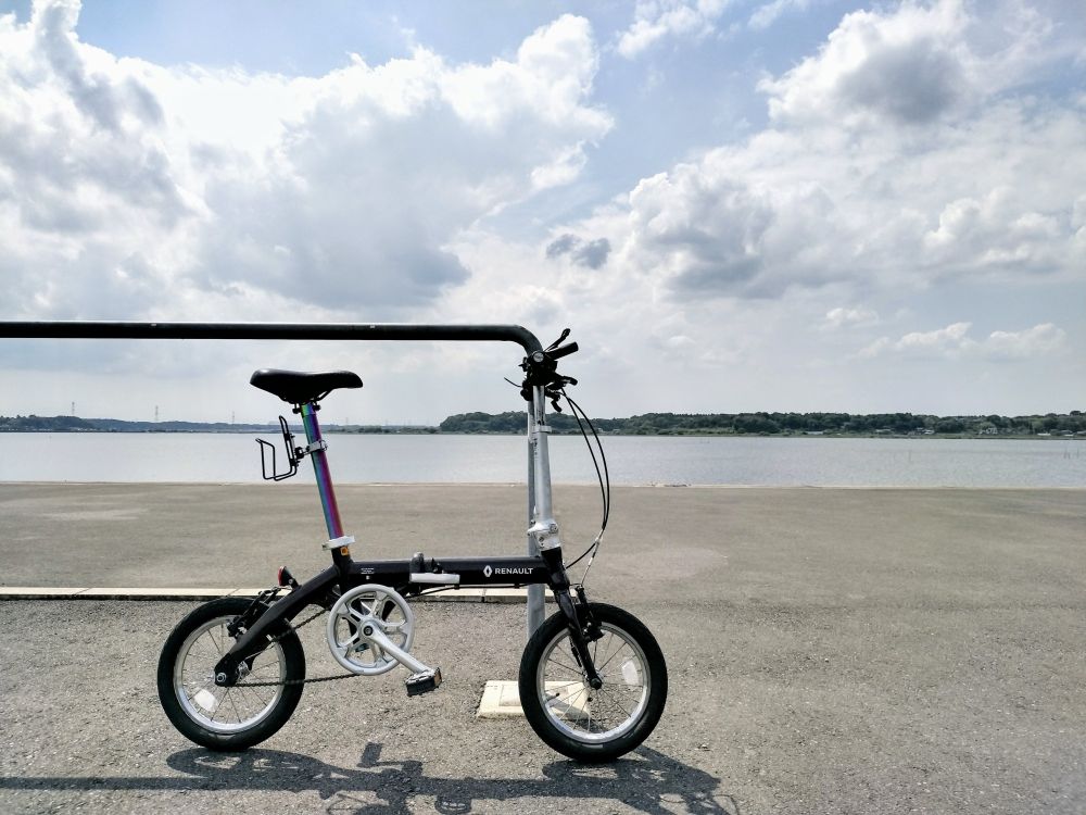 印旛沼とルノーライト８