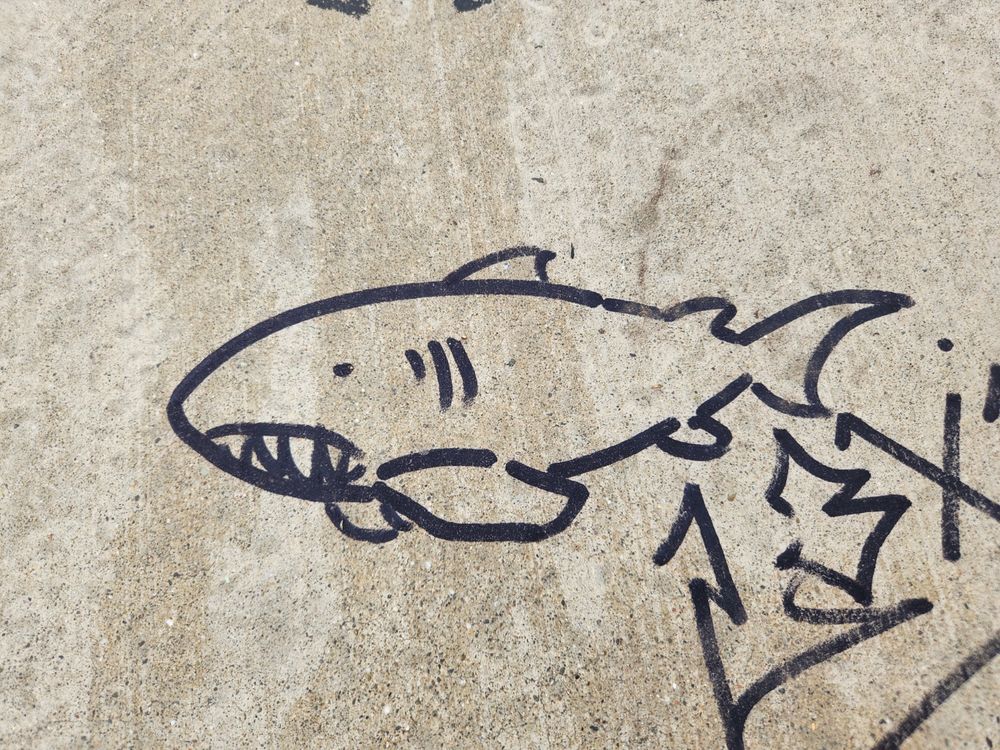 A toothsome shark with a preoccupied expression drawn in black ink on a cement industrial driveway. 
