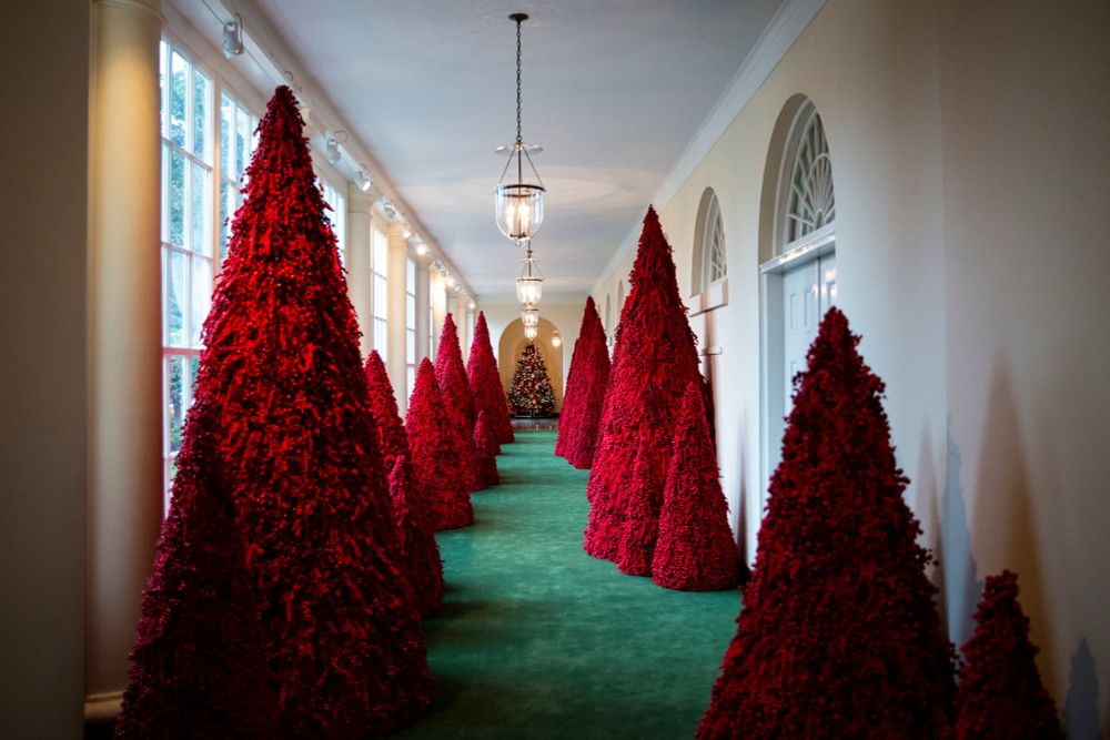 Melania Trump’s hall of gloomy red Christmas trees