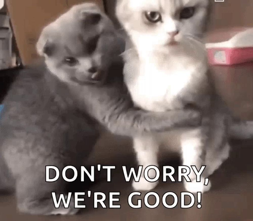 two cats hugging each other with the words " don t worry we 're good "