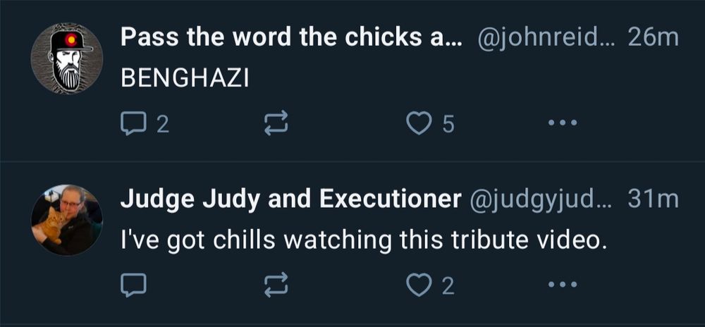 screenshot of two posts

Post #1
BENGHAZI

Post #2
I've got chills watching this tribute video