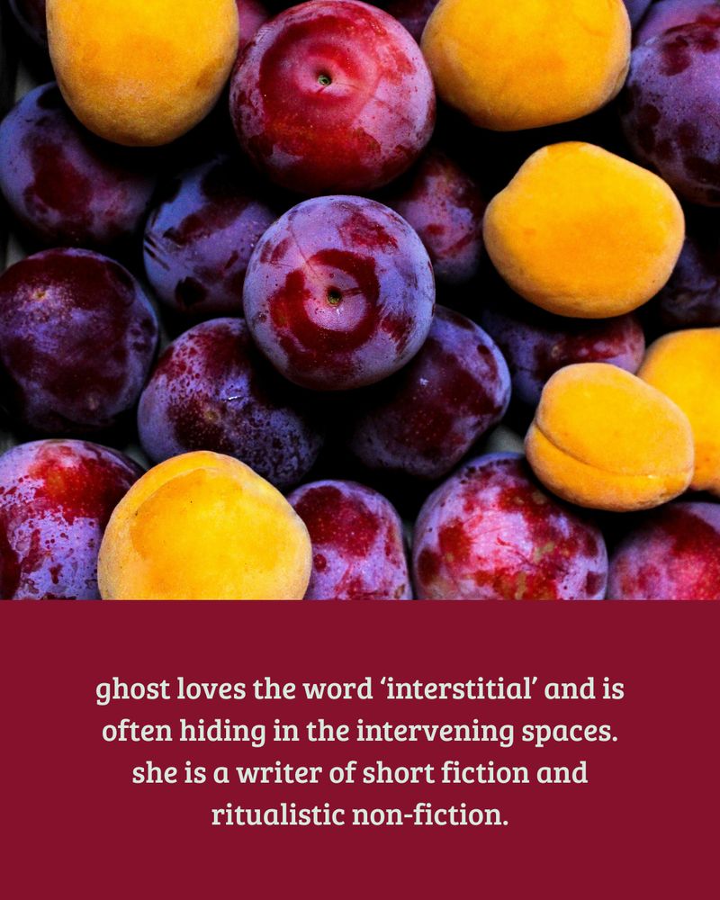 Image of purple, red, and golden plums over text that reads ghost loves the word ‘interstitial’ and is often hiding in the intervening spaces. she is a writer of short fiction and ritualistic non-fiction.