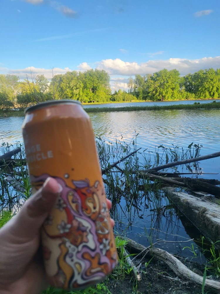 Beers and beavers