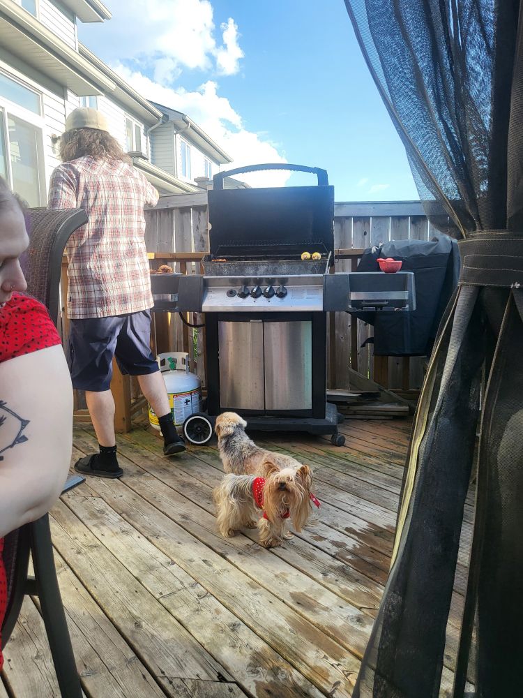 Our doggies waiting for my roomie to finish barbecuing!