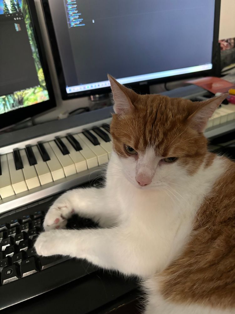 My relatively orange cat busy at work on the keyboard.