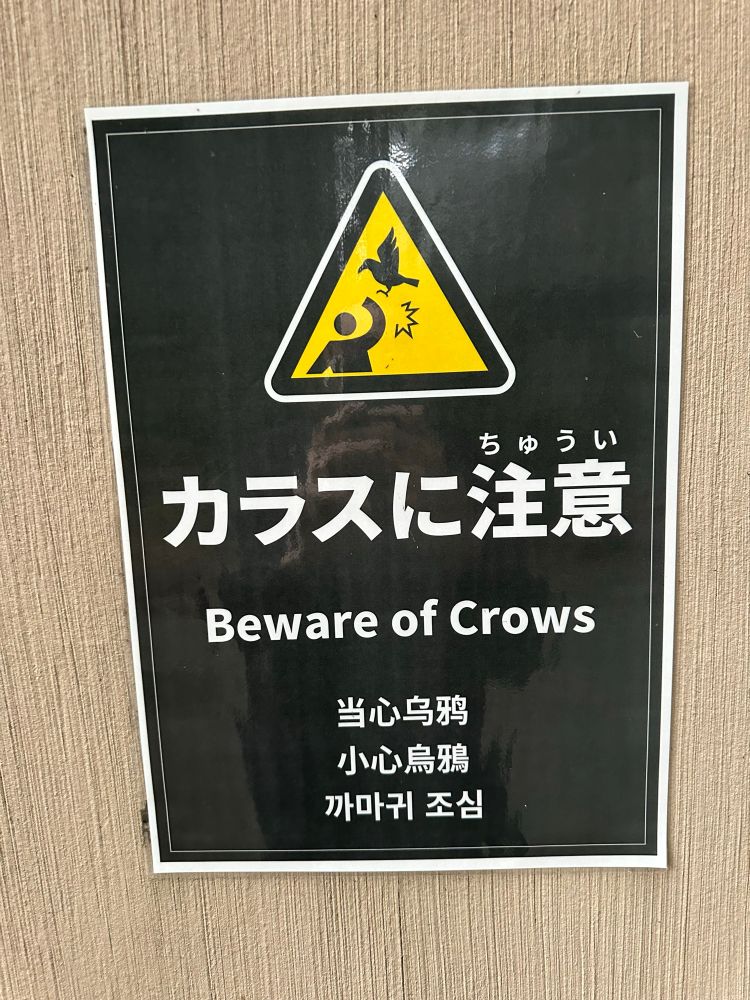 Sign in Japan showing  yellow triangle with a silhouette of a bird attacking a human

う
い
カラスに注意
Beware of Crows
当心乌鸦
小心烏鴉
까마구
조심