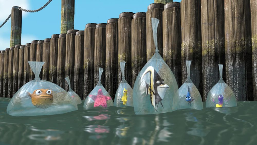 the picture is of the aquarium fish floating in the sea at the end of 'finding nemo'. in the movie, they say 'now what?' in this scene